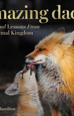 Love and Lessons From the Animal Kingdom: Amazing Dads