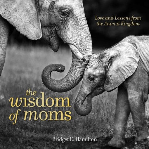 Love and Lessons From the Animal Kingdom: The Wisdom of Moms