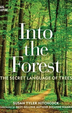 The Secret Language of Trees: Into the Forest