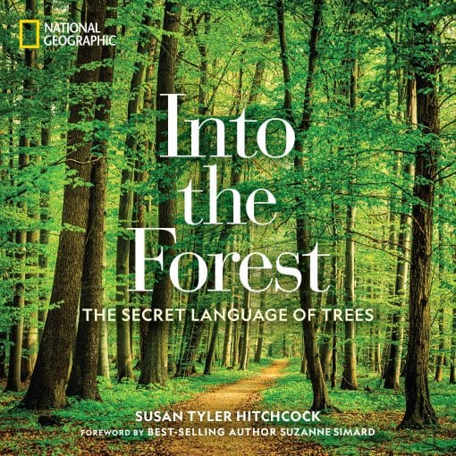 The Secret Language of Trees: Into the Forest