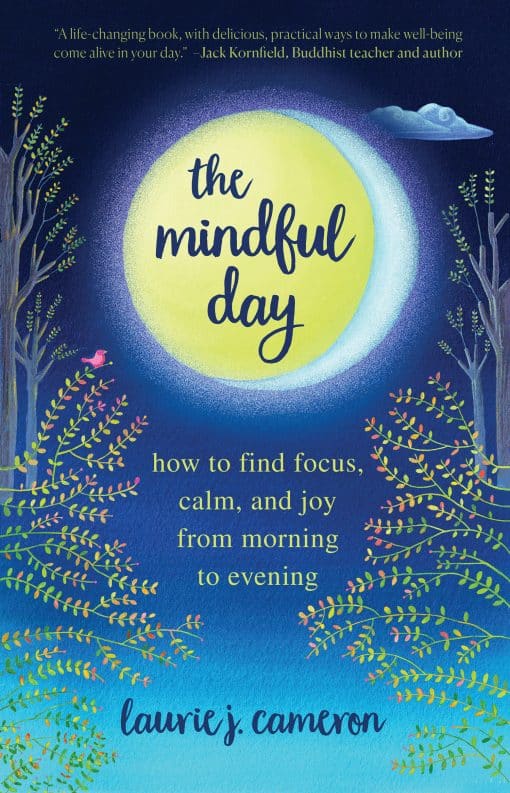 How to Find Focus, Calm, and Joy From Morning to Evening: The Mindful Day