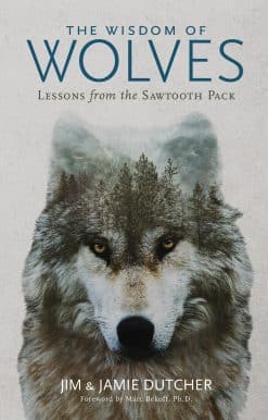 The Wisdom of Wolves: Lessons From the Sawtooth Pack
