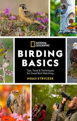 Tips, Tools, and Techniques for Great Bird-watching: National Geographic Birding Basics