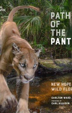 New Hope for Wild Florida: Path of the Panther