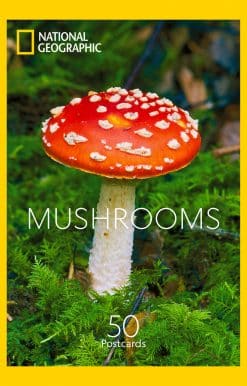 50 Postcards: Mushrooms
