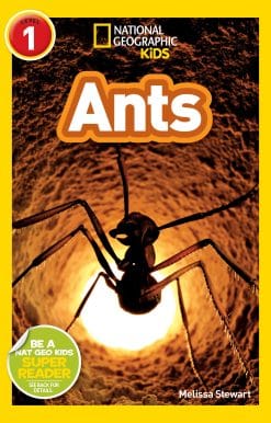National Geographic Readers: Ants