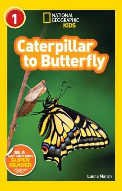 National Geographic Readers: Caterpillar to Butterfly