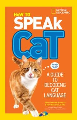 A Guide to Decoding Cat Language: How to Speak Cat