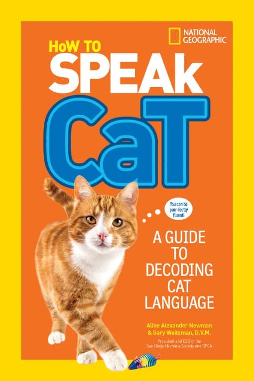 A Guide to Decoding Cat Language: How to Speak Cat