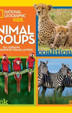 Animal Groups