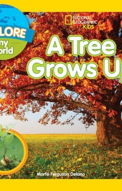 Explore My World A Tree Grows Up: