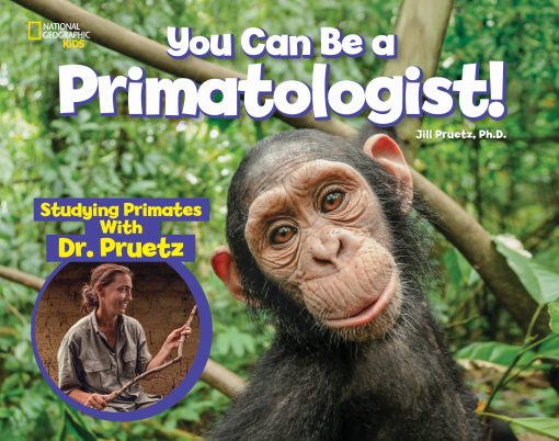 You Can Be a Primatologist: Studying Primates With Dr. Pruetz