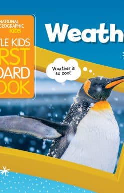 Little Kids First Board Book: Weather