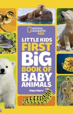 National Geographic Little Kids First Big Book of Baby Animals
