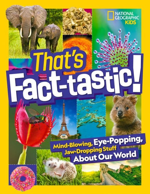 Mind-blowing, Eye-popping, Jaw-dropping Stuff About Our World: That's Fact-tastic!