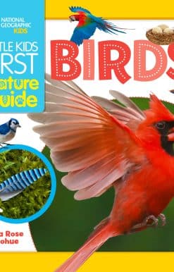 Little Kids First Nature Guide Birds