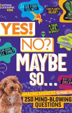 Yes! No? Maybe So...: Amazing Answers to More Than 250 Mind-Blowing Questions