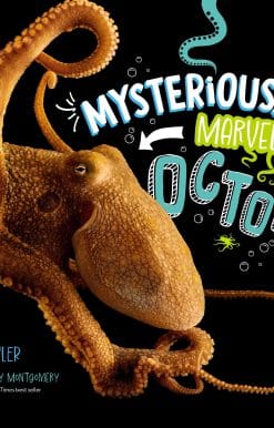 Mysterious, Marvelous Octopus!: