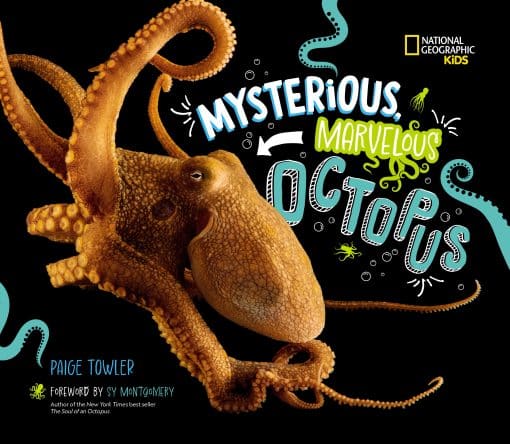 Mysterious, Marvelous Octopus: