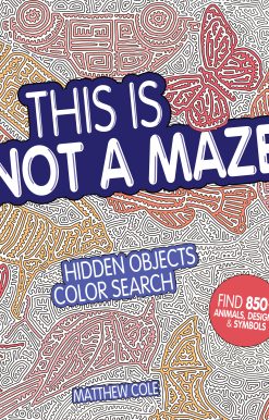 This Is Not a Maze: Hidden Objects Color Search