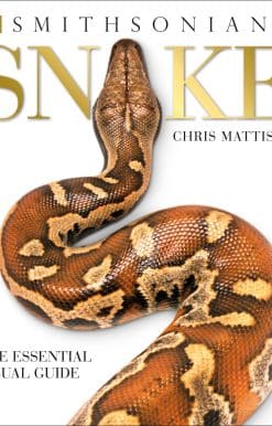 Snake: The Essential Visual Guide