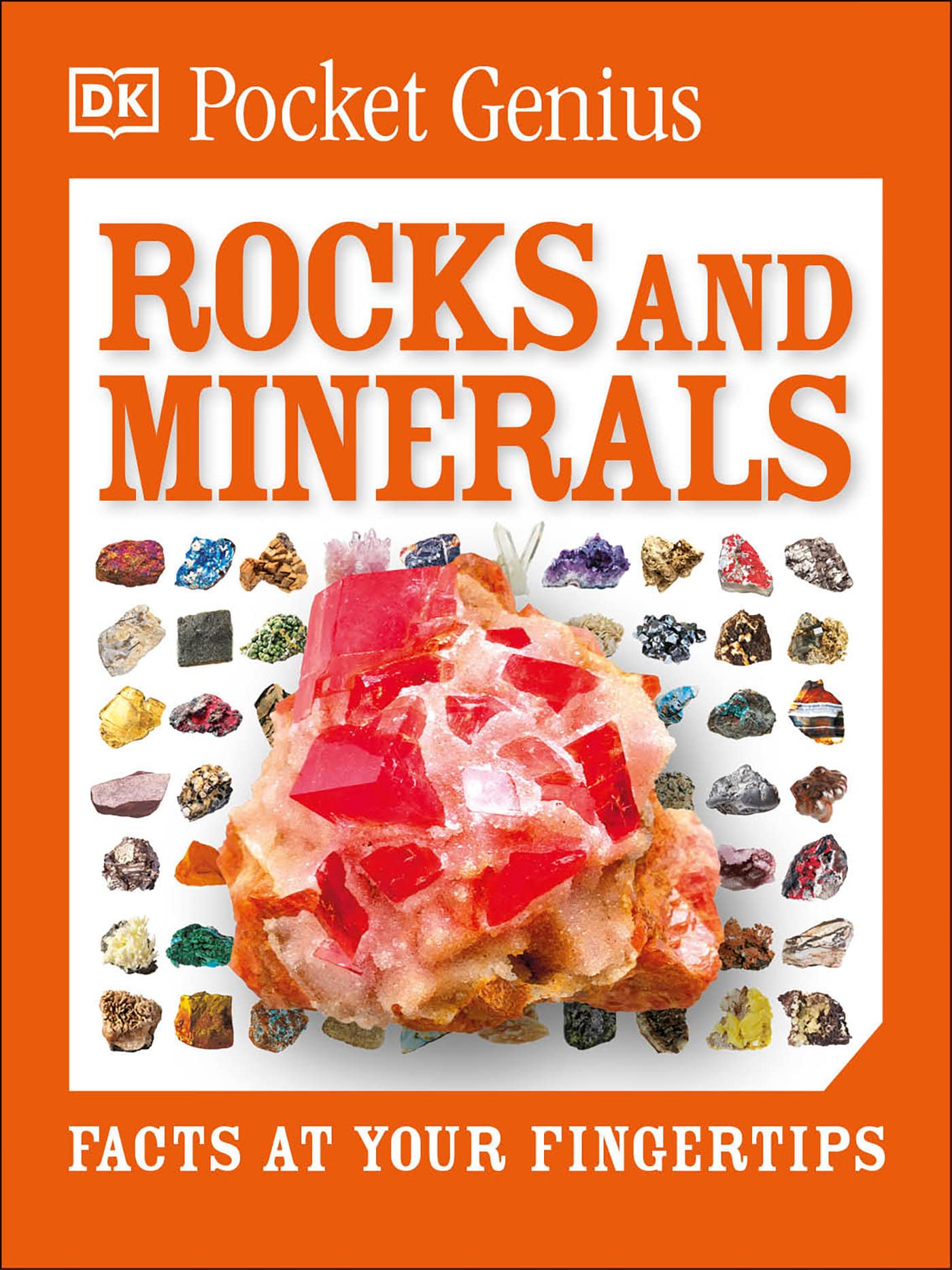 9781465445902 Facts at Your Fingertips: Pocket Genius: Rocks and Minerals