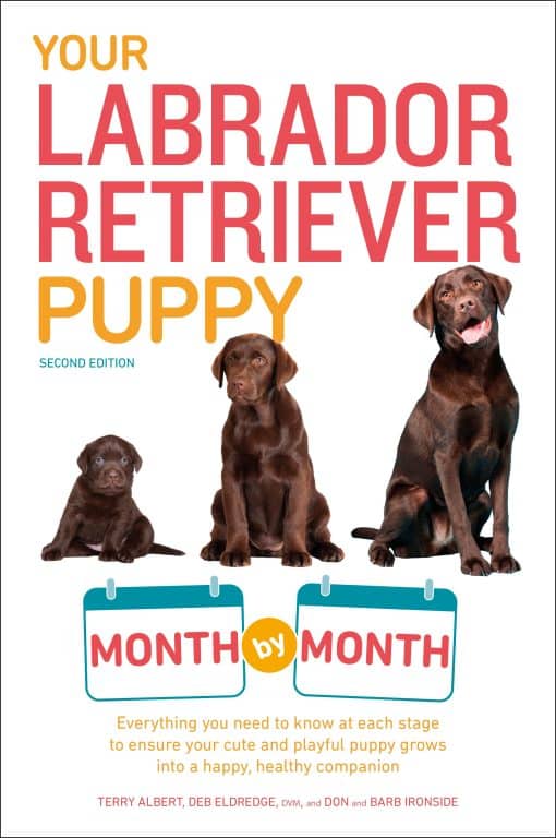 Your Labrador Retriever Puppy Month by Month, 2nd Edition: Everything You Need to Know at Each Stage of Development