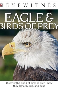 Eyewitness Eagle and Birds of Prey: Discover the World of Birds of Prey—How They Grow, Fly, Live, and Hunt