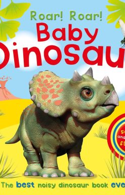 Roar! Roar! Baby Dinosaur: The Best Noisy Dinosaur Book Ever!