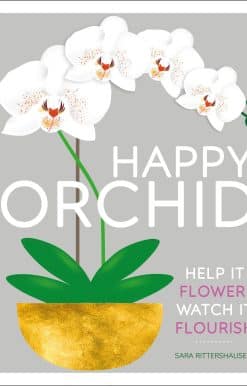 Happy Orchid