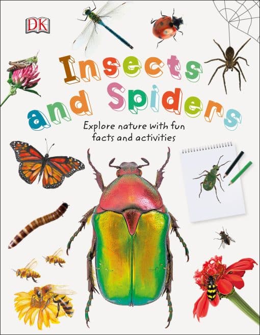 Insects and Spiders: