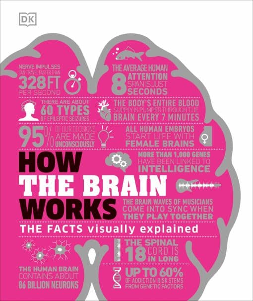 The Facts Visually Explained: How the Brain Works