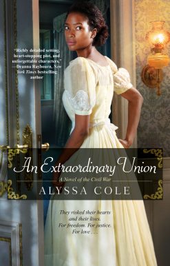 An Extraordinary Union: An Epic Love Story of the Civil War