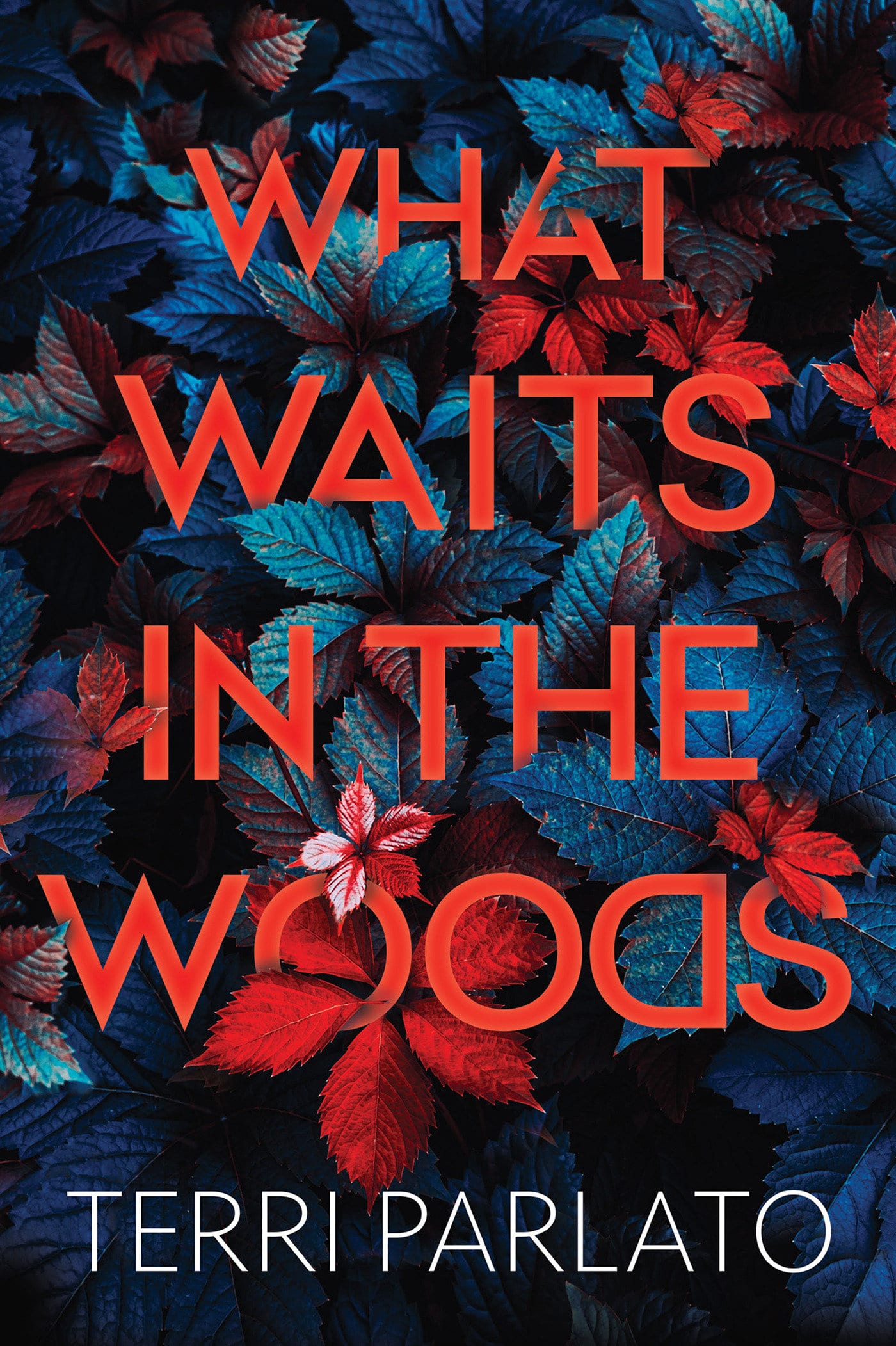 9781496738608 What Waits in the Woods: A Chilling Novel of Suspense with a Shocking Twist