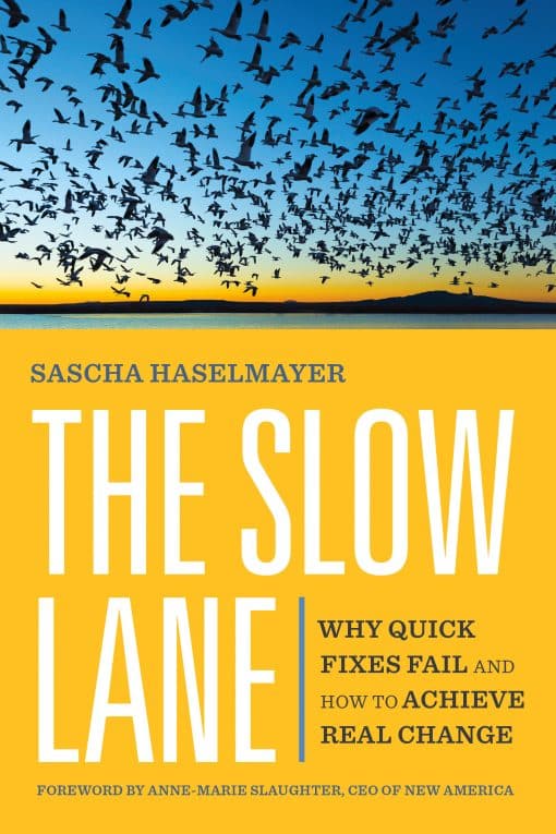 Why Quick Fixes Fail and How to Achieve Real Change: The Slow Lane