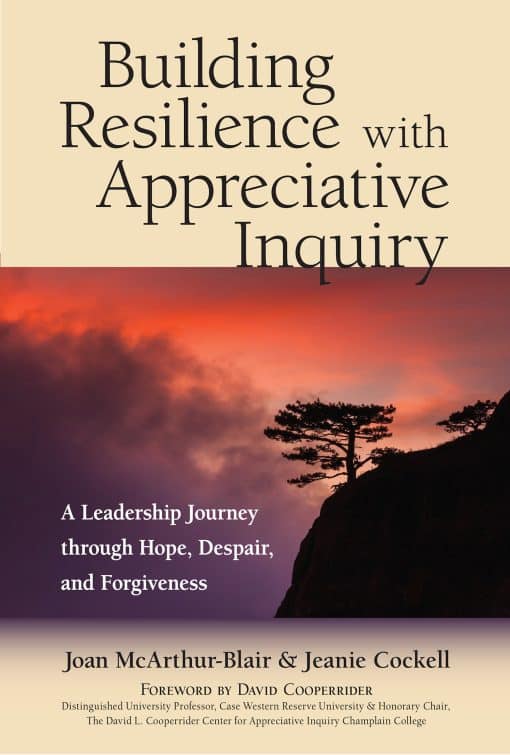 A Leadership Journey through Hope, Despair, and Forgiveness: Building Resilience with Appreciative Inquiry 