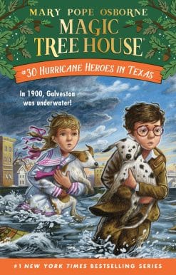 Hurricane Heroes in Texas