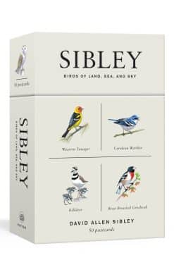 Sibley Birds of Land, Sea, and Sky: 50 Postcards