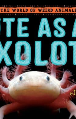 Cute as an Axolotl: Discovering the World's Most Adorable Animals