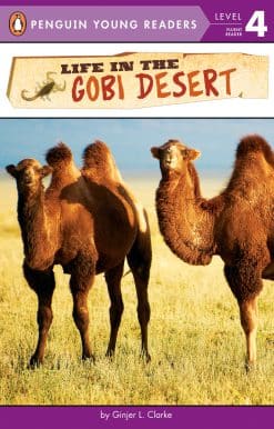Life in the Gobi Desert