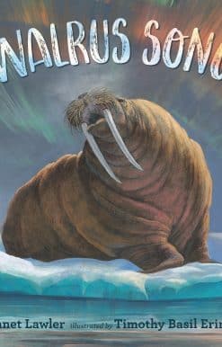 Walrus Song