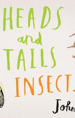 Heads and Tails: Insects