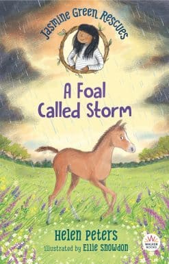 Jasmine Green Rescues: A Foal Called Storm