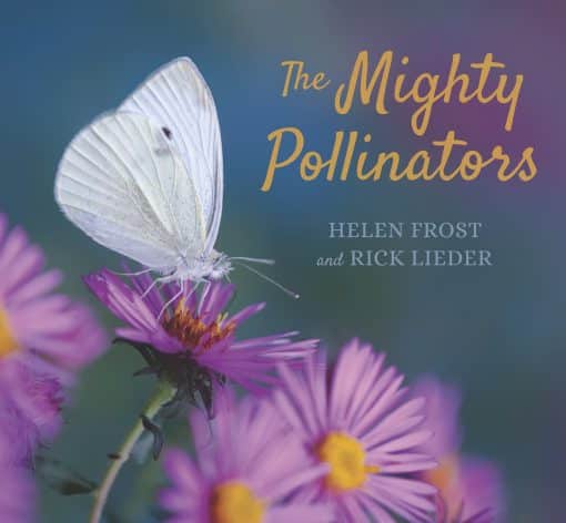 The Mighty Pollinators