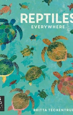 Reptiles Everywhere