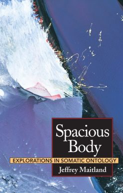 Spacious Body: Explorations in Somatic Ontology