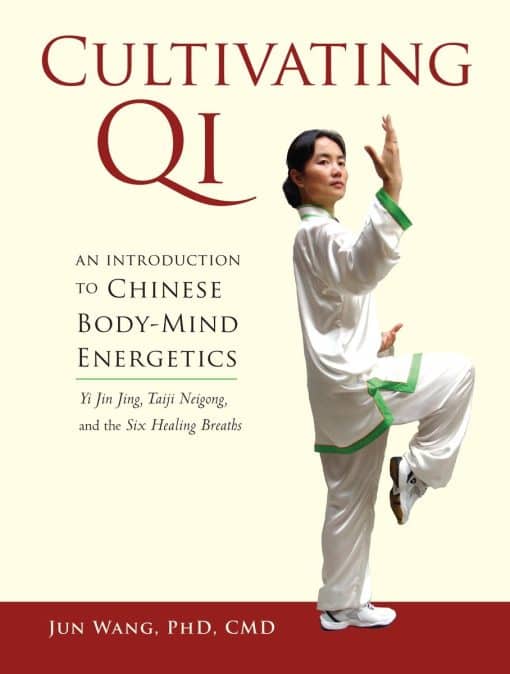 An Introduction to Chinese Body-Mind Energetics: Cultivating Qi