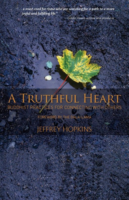 A Truthful Heart: Buddhist Practices For Connecting With Others