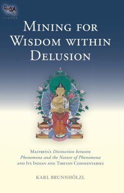Mining for Wisdom within Delusion: Maitreya's "Distinction between Phenomena and the Nature of Phenomena" and Its Indian and Tibetan Commentaries