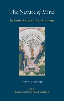 The Dzogchen Instructions of Aro Yeshe Jungne: The Nature of Mind
